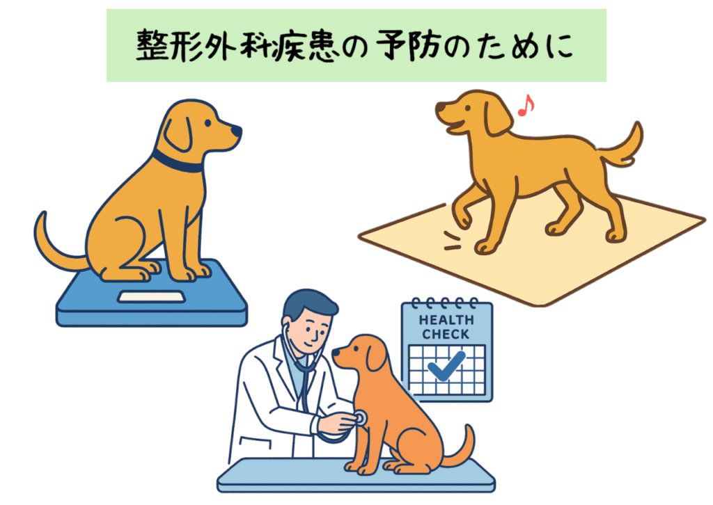 大型犬に多い関節疾患や股関節形成不全の予防対策として、体重管理や滑りにくい床、定期的な健康診断をすすめるイラスト