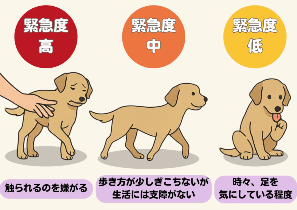 犬の歩き方の異常と緊急度の違いを示すイラスト。左は触られるのを嫌がる犬（緊急度高）、中央は少しぎこちなく歩く犬（緊急度中）、右は足を時々気にしている犬（緊急度低）