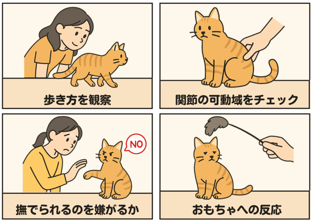猫の痛みチェック方法を示す4つのイラスト。1コマ目：猫の歩き方を観察している女性。2コマ目：座っている猫の関節を手で触って可動域をチェックしている様子。3コマ目：撫でようとする女性に対し、嫌がって前足を出す猫と「NO」の吹き出し。4コマ目：おもちゃを差し出しても反応が薄い猫の様子。 