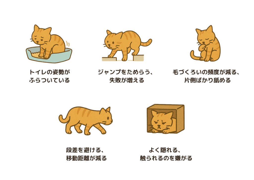 図解「猫の脊髄疾患の初期症状・サイン」（左上から）1.トイレでふらついている/2.ジャンプをためらう/3.毛づくろいの頻度が減り、片側ばかり舐める/4.段差を避ける/5.箱の中など良く隠れる