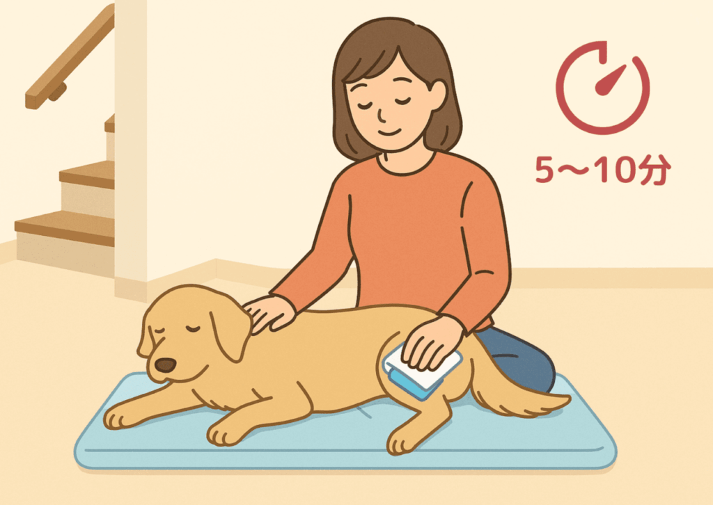 初期対応の図解：犬を安静にさせ、タオルに包んだ保冷剤で5-10分冷やす