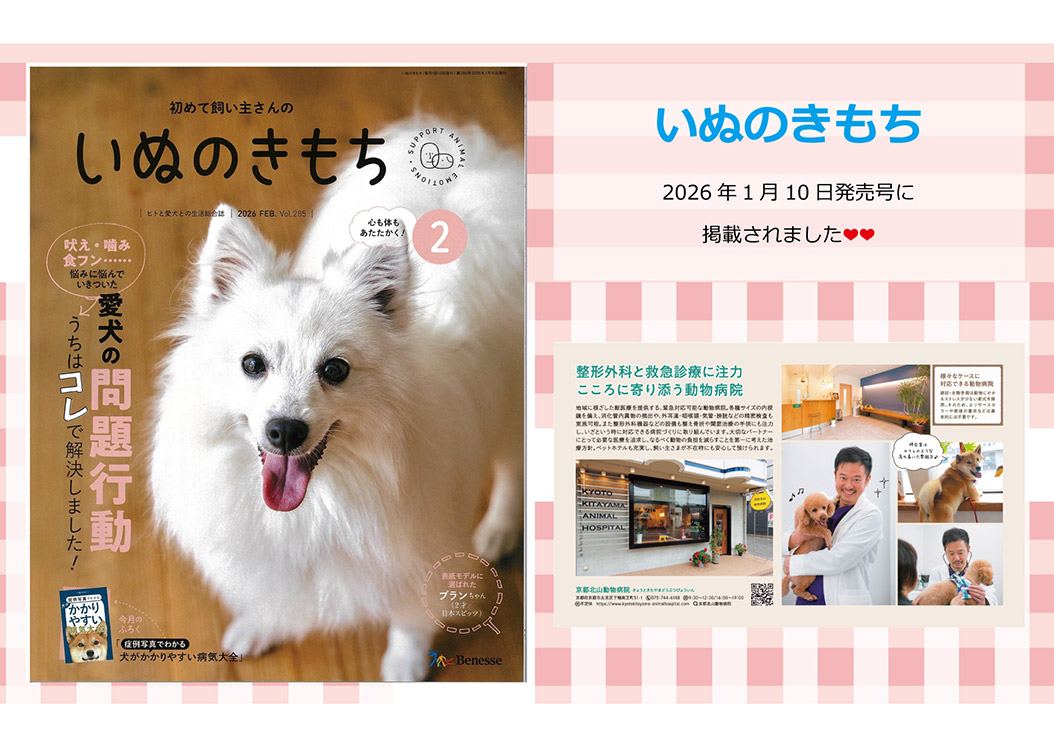 いぬのきもち 2月号に掲載されました!