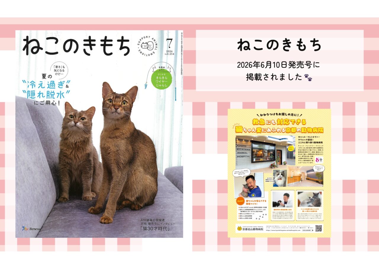 ねこのきもち 7月号に掲載されました!